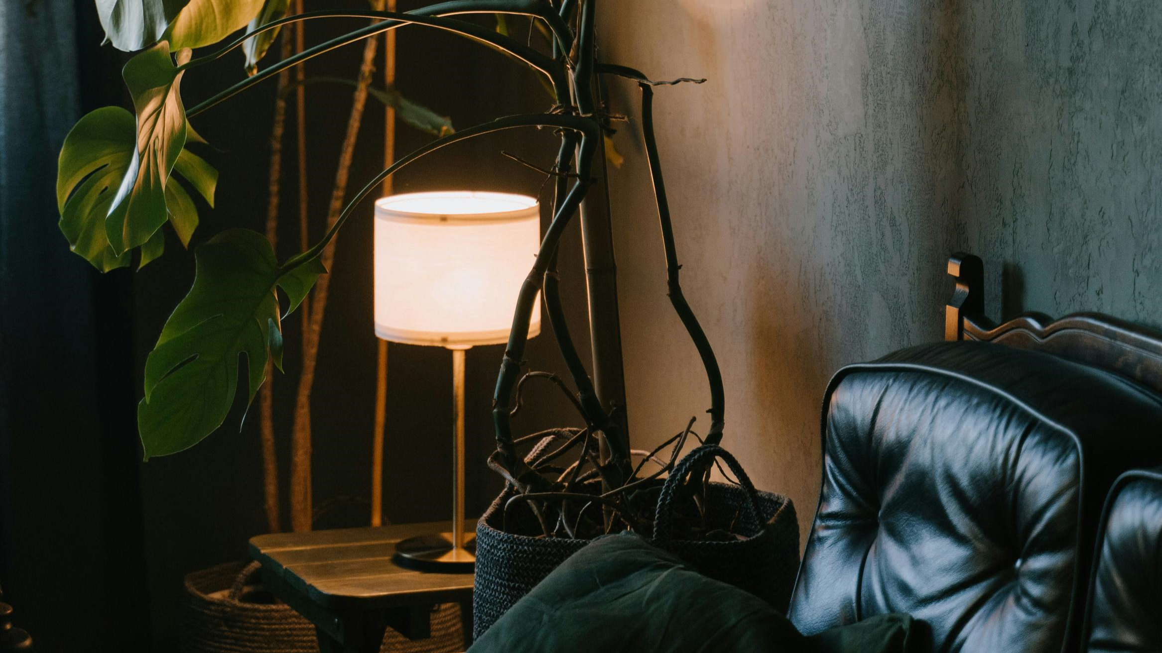 .mute - sala de estar